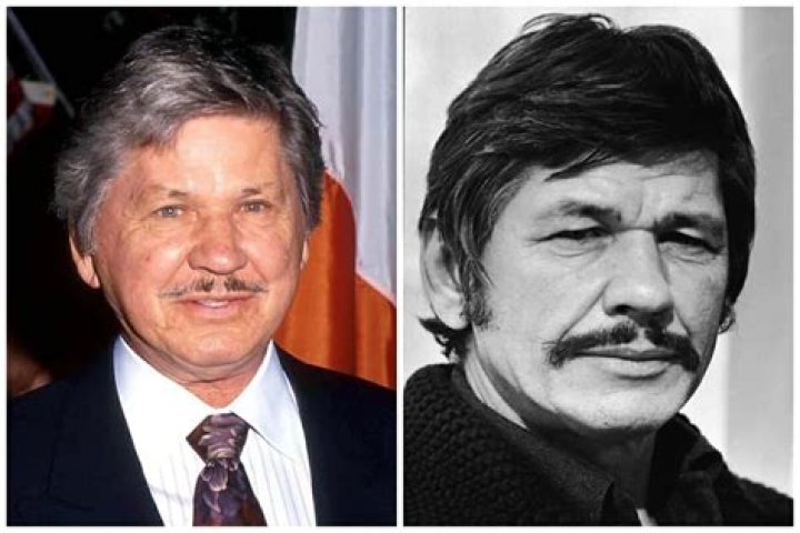 Charles Bronson Net Worth